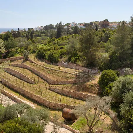 Casas De By Sevencollection Appartamento *